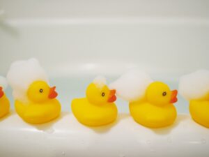 記事の画像